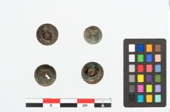 Foto von Bronzenietkopf (NHMW-PRAE-026692)